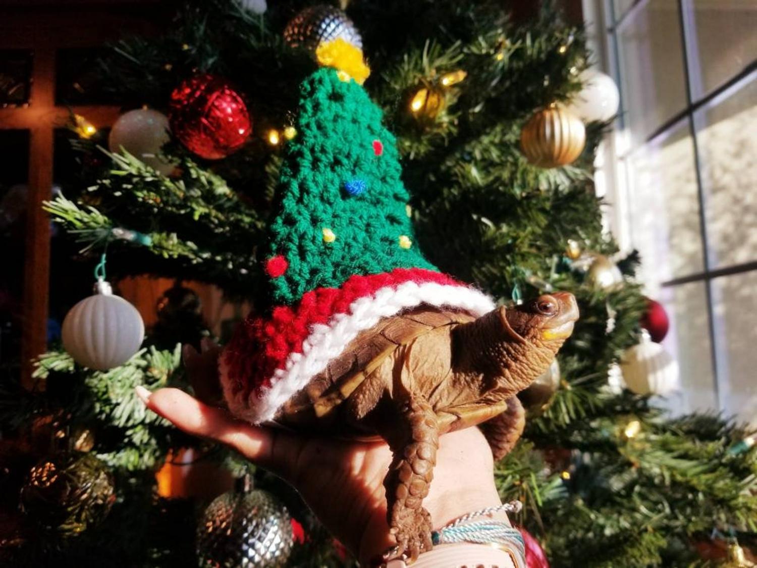 Crochet Christmas Tree Turtle Costume tortoise Sweater