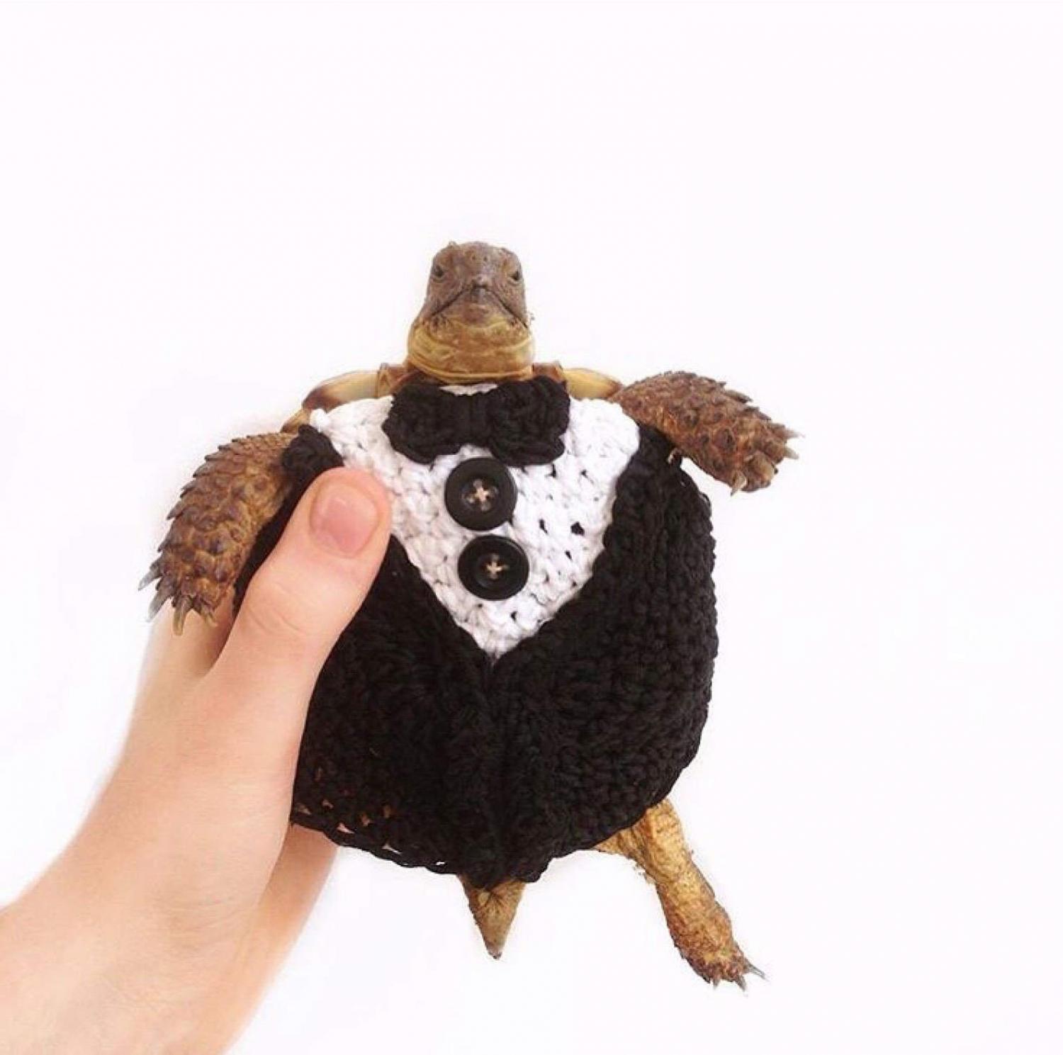 tortoise jumper crochet pattern