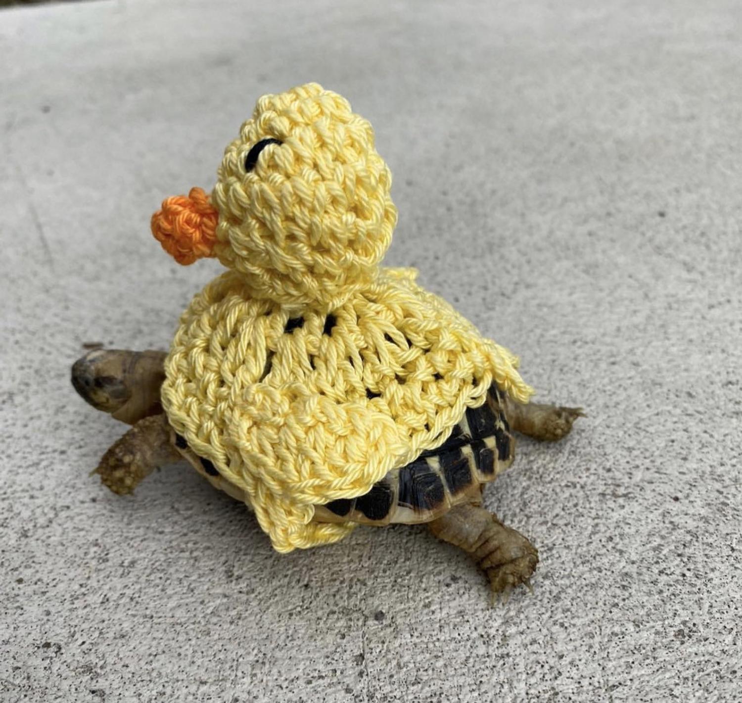 Crochet Turtle Sweater - Ducky tortoise cozy