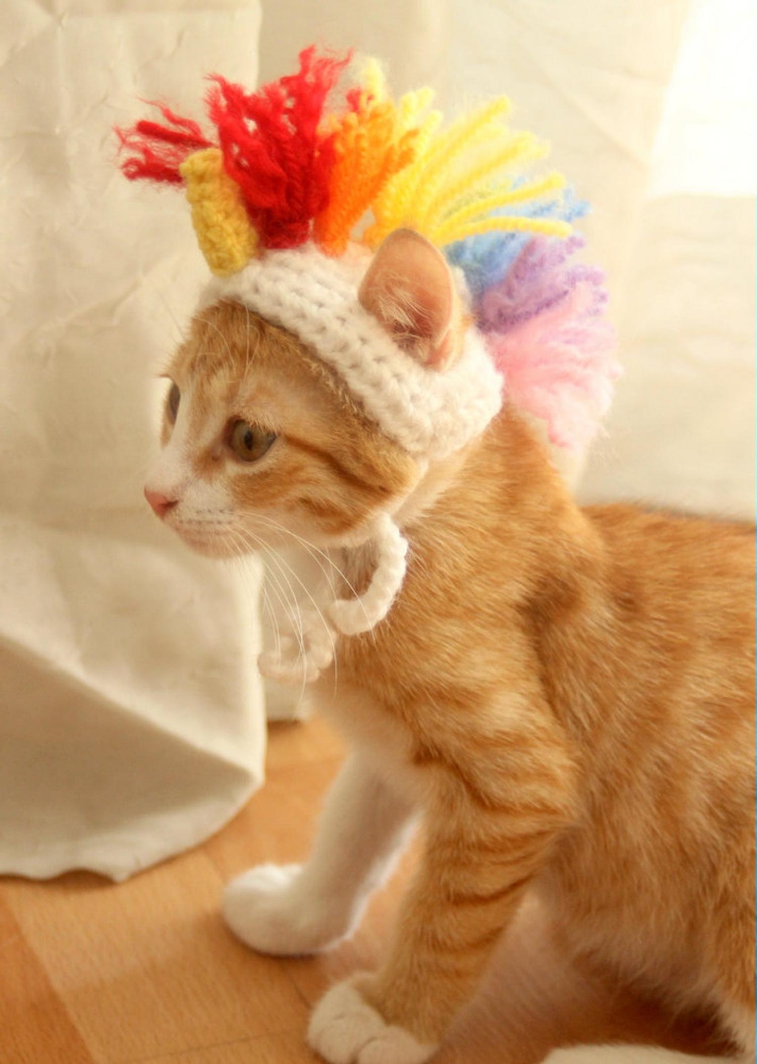 Cat hotsell unicorn hat