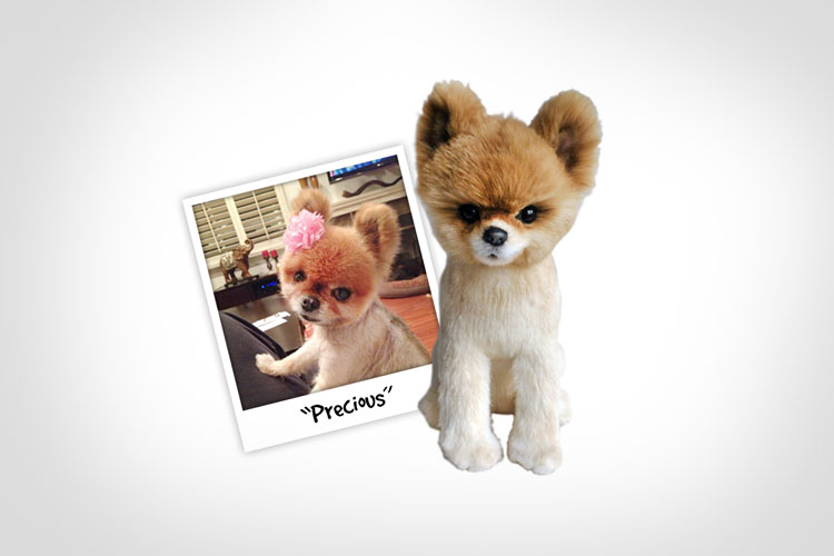 picture of dog made into stuffed animal