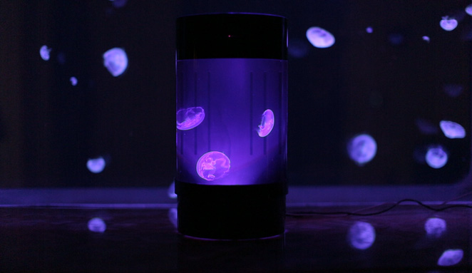 Cylinder Shaped Jellyfish Aquarium