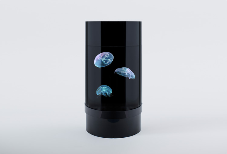 Cylinder Shaped Jellyfish Aquarium