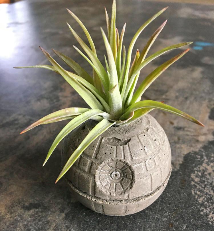 star wars flower pot