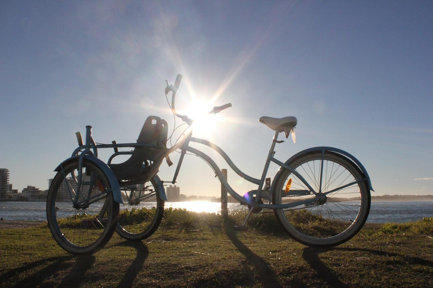 This Bike Chair Allows Someone With Limited Mobility To Go For a