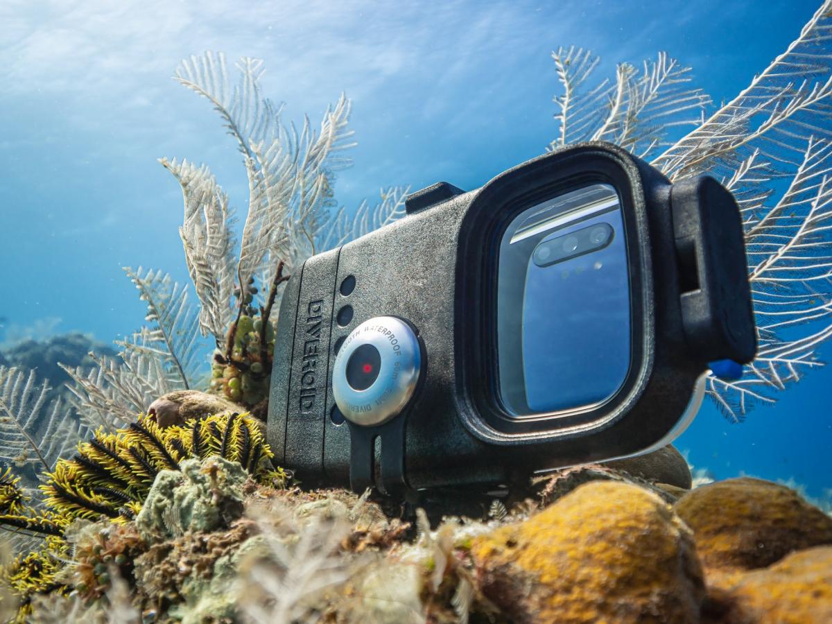 Diveroid all-in-one scuba diving computer, sensor, logbook, and underwater camera