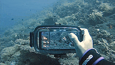Diveroid all-in-one scuba diving computer, sensor, logbook, and underwater camera