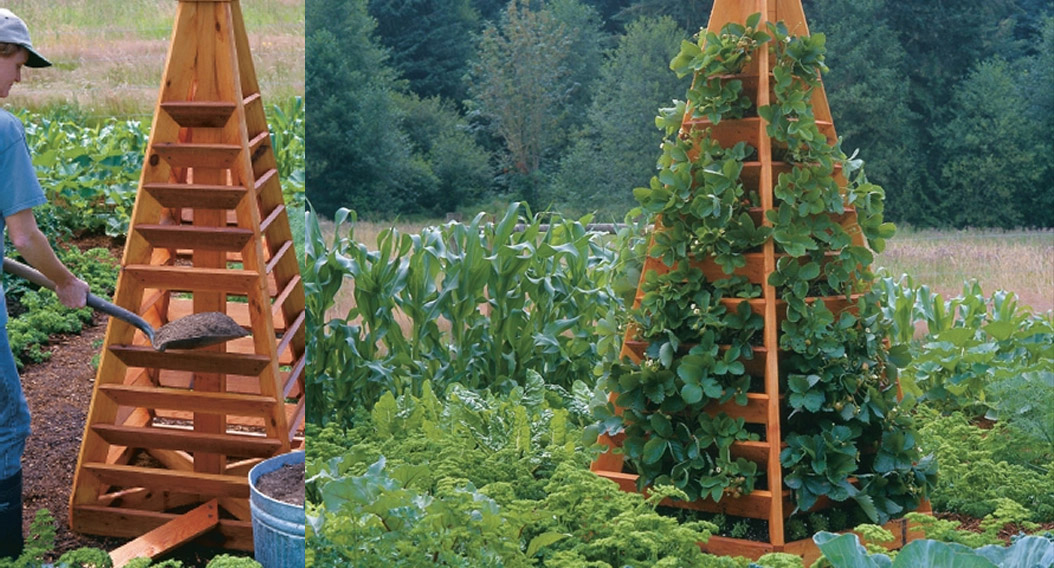 These DIY Pyramid Planters Lets You Grow Strawberries In The Coolest