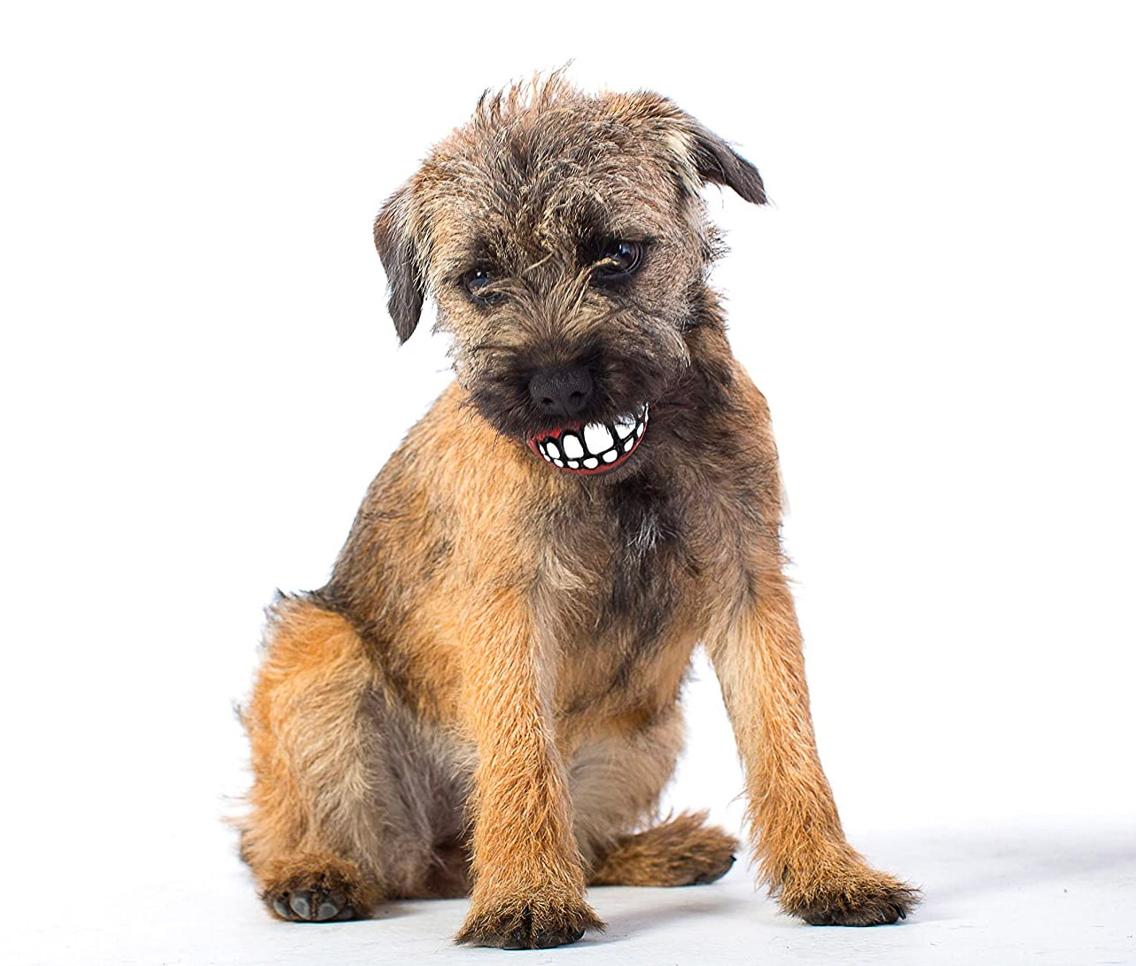 Funny dog ball teeth - Dog Ball Gives Your Dog Human Teeth
