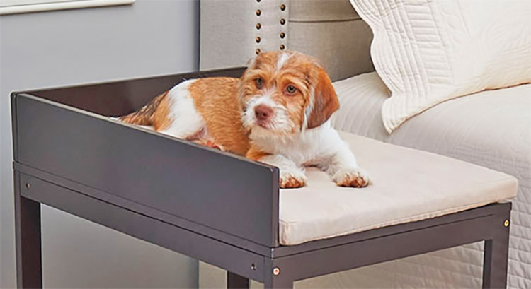 Elevated dog bed shop next to human bed