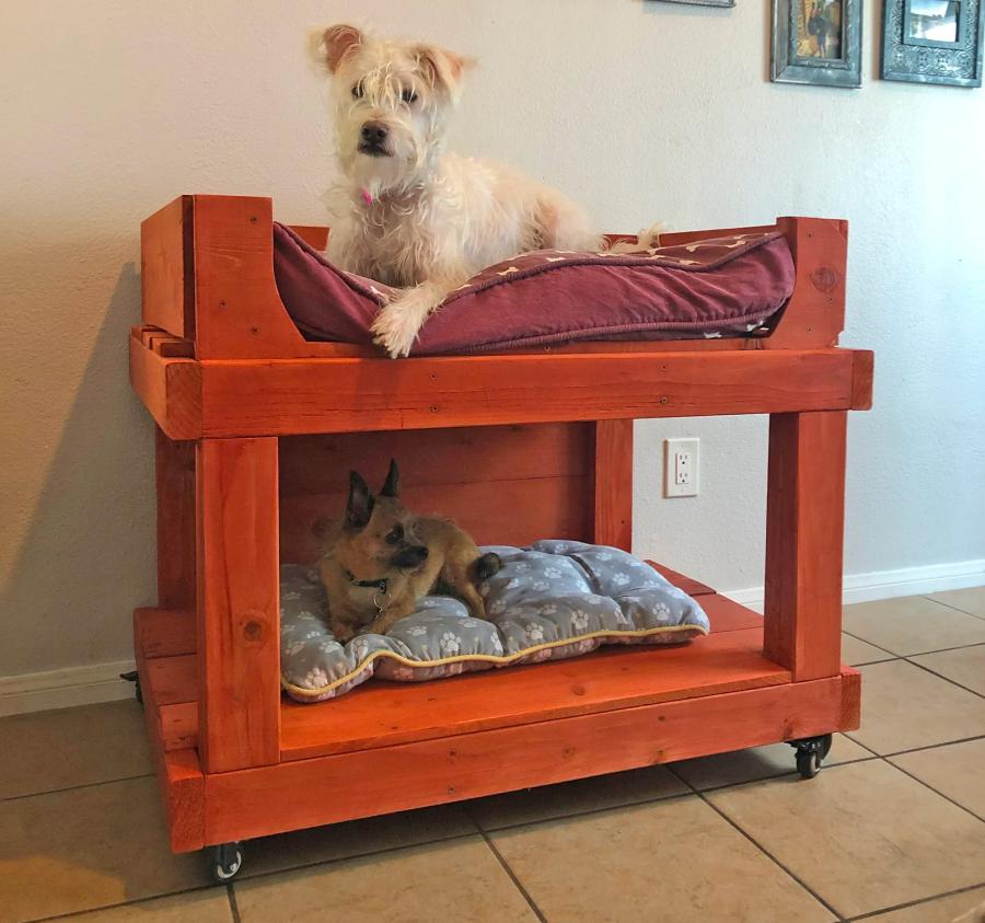 This Dog Bunk Bed Will Save You Space, Extra Large Dog Bunk Beds