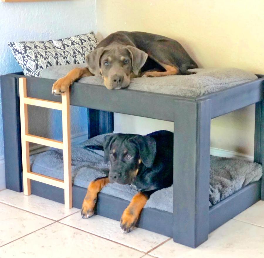 Large dog hotsell bunk beds