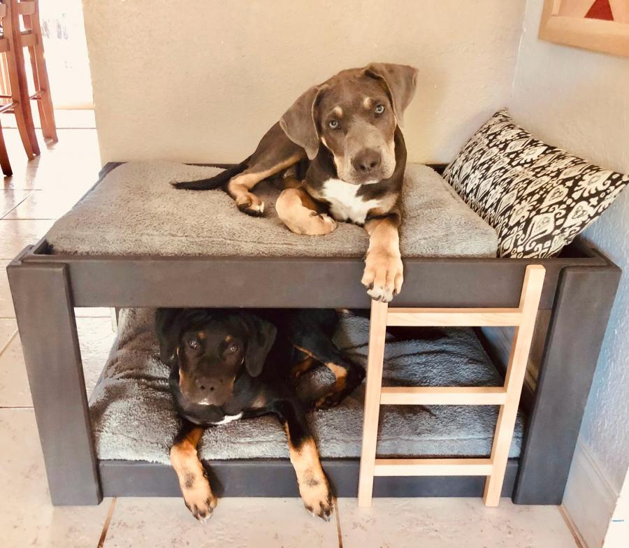 This Dog Bunk Bed Will Save You Space, Dog Bunk Bed Ideas