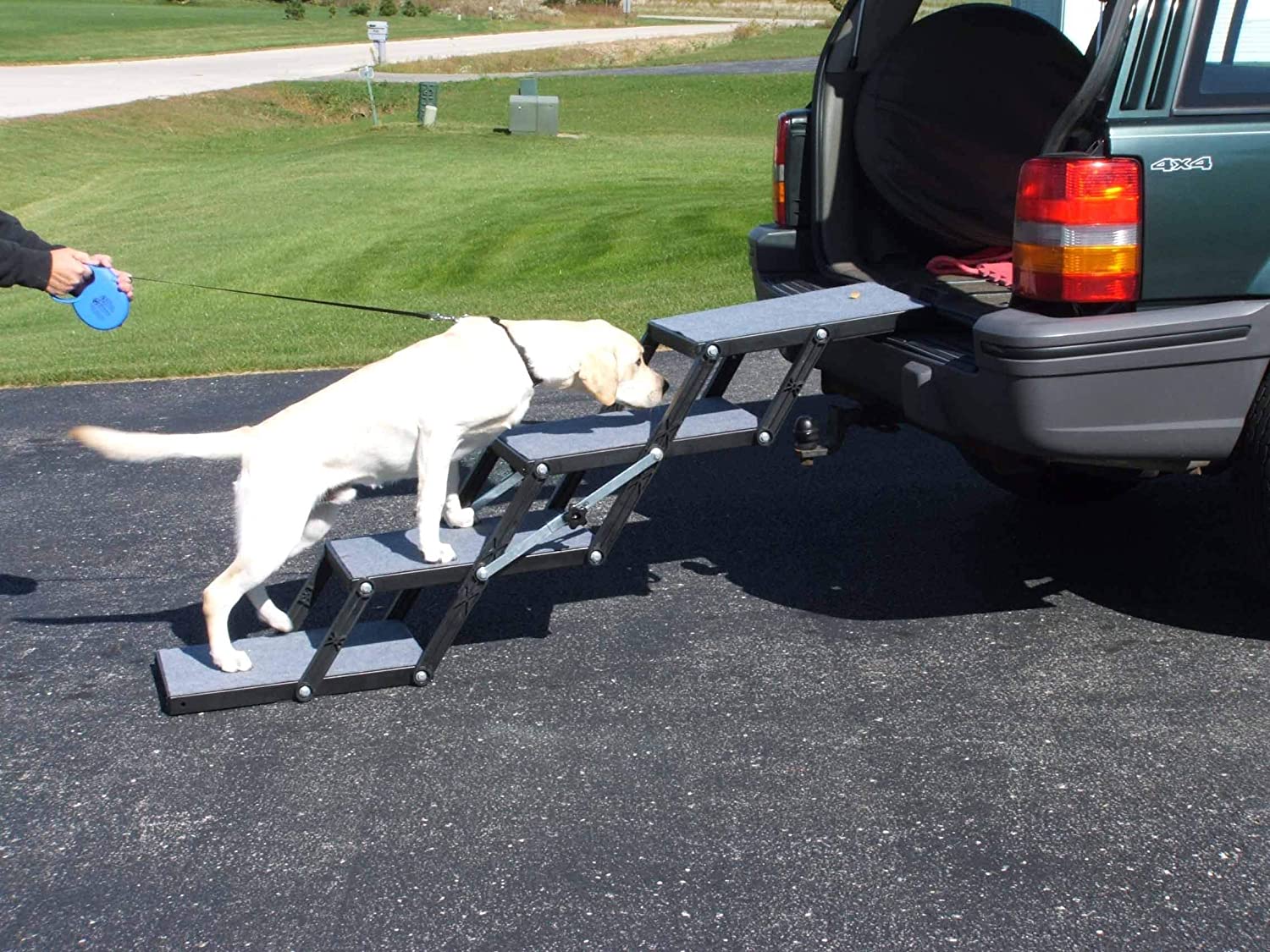 Dog stairs to help elderly dogs into car/automobile