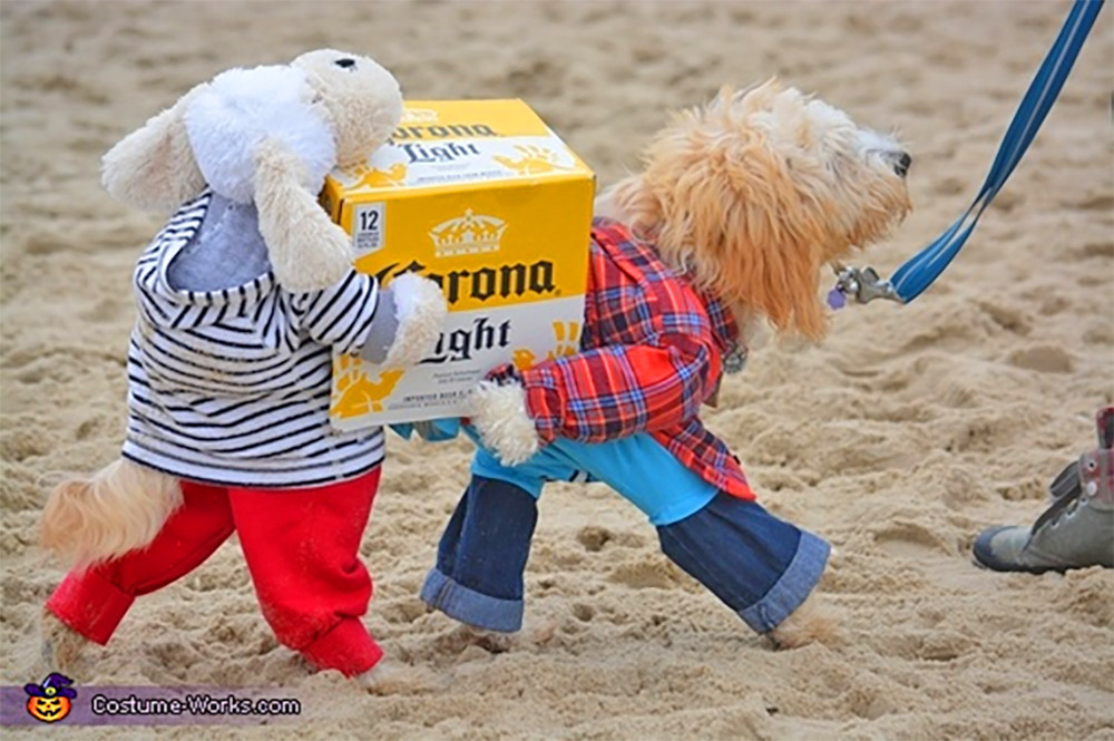 Dog Carrying Costume - Dogs carrying a case of beer Halloween dog costume