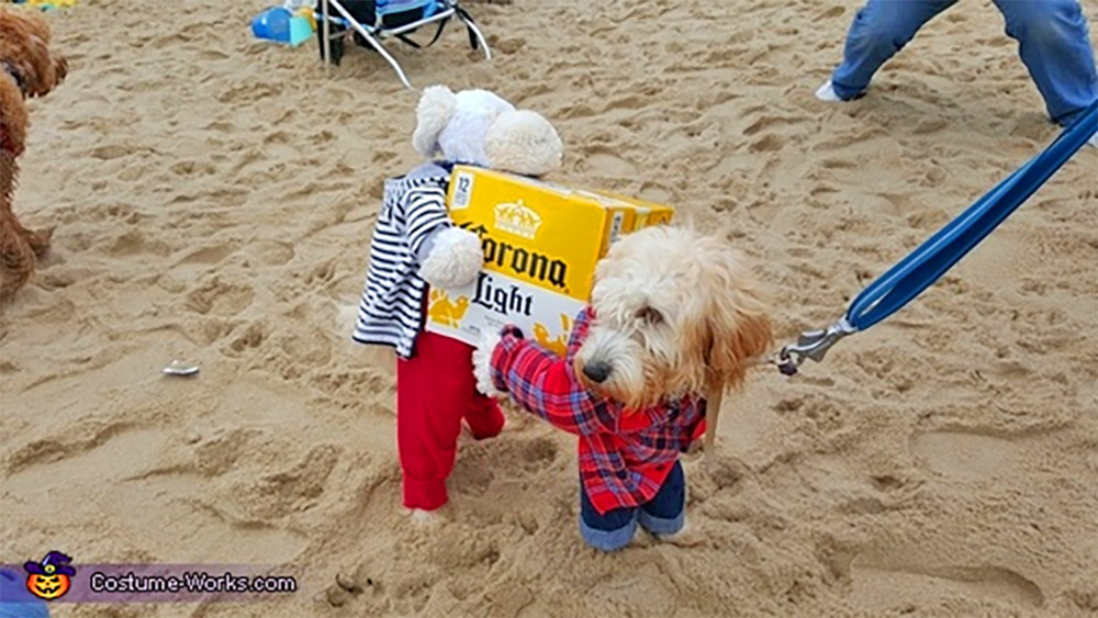 This Brilliant Dog Carrying A Box Of Beer Costume Might Be The