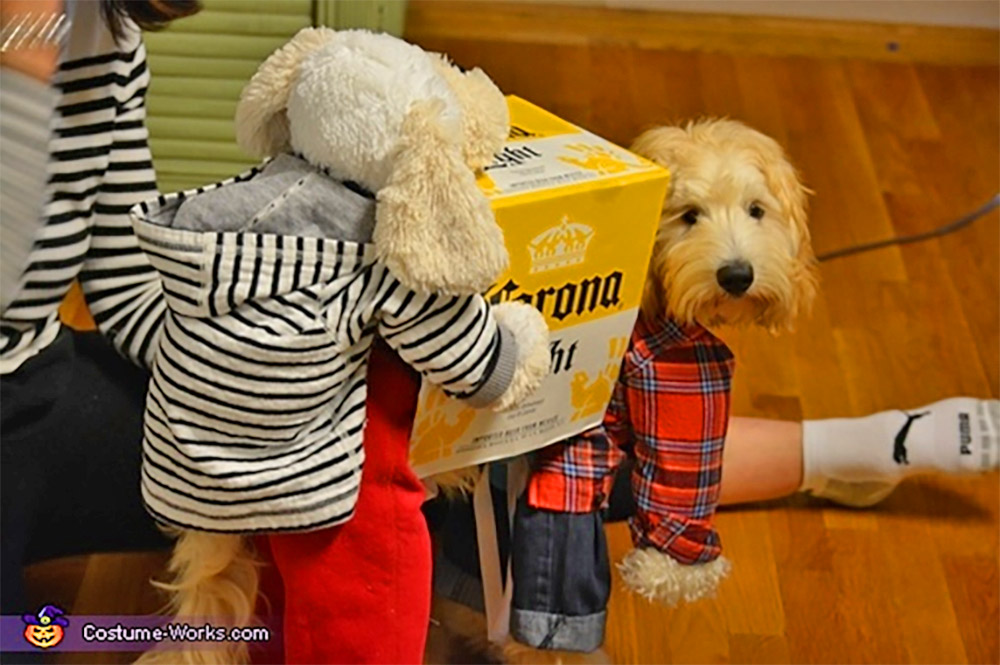 Two dogs carrying a present outlet costume