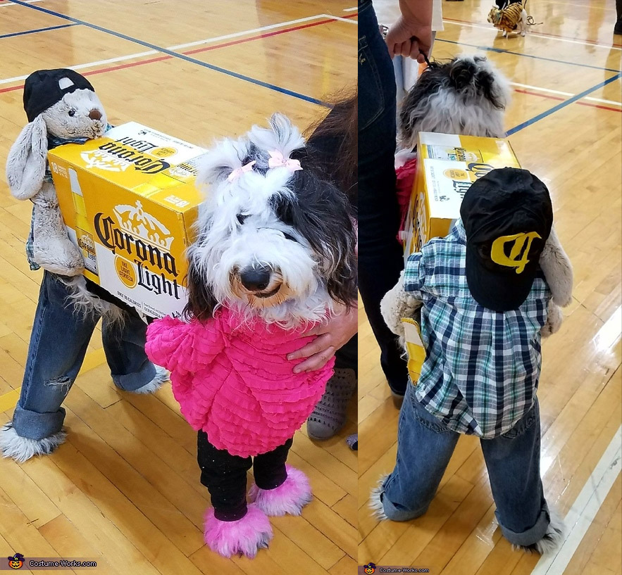 Two dogs carrying shop a present costume