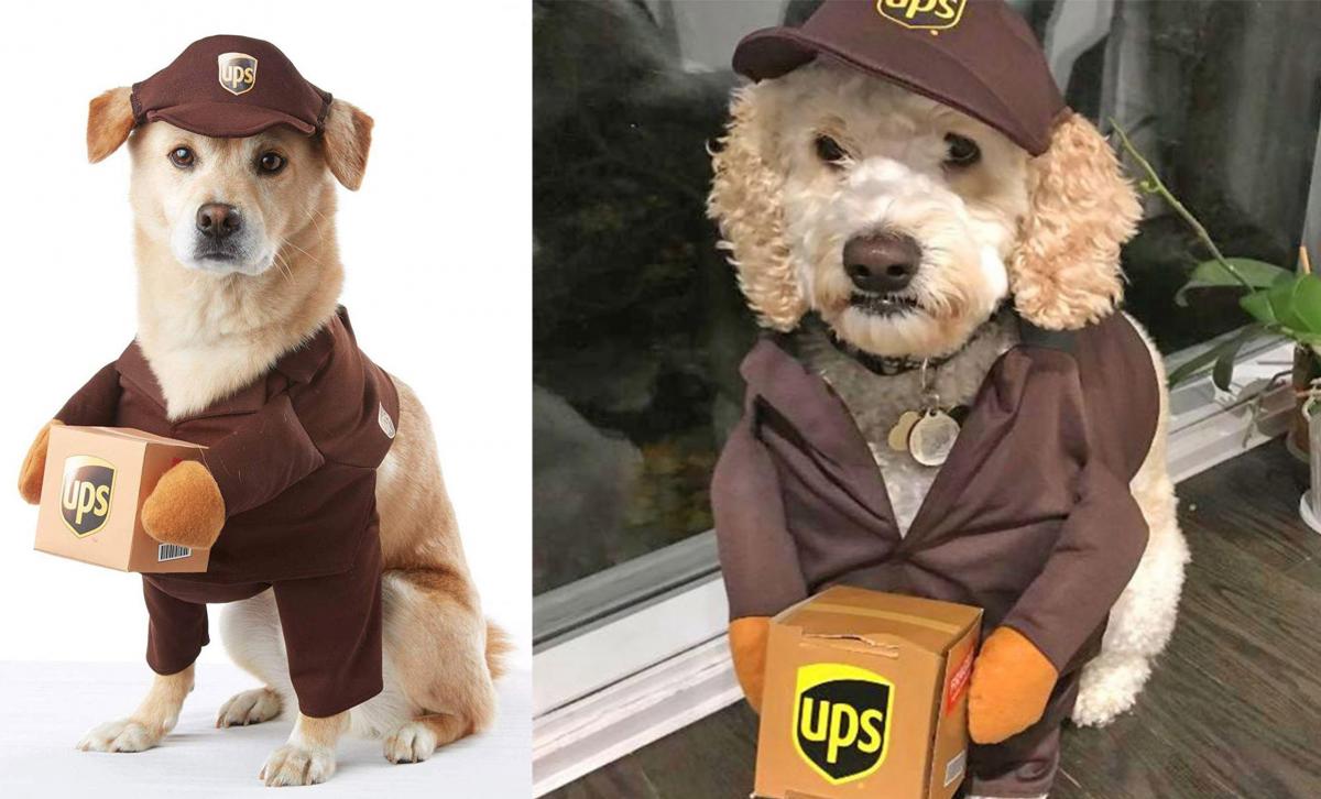 Dog Carrying Costume - UPS delivery man dog costume