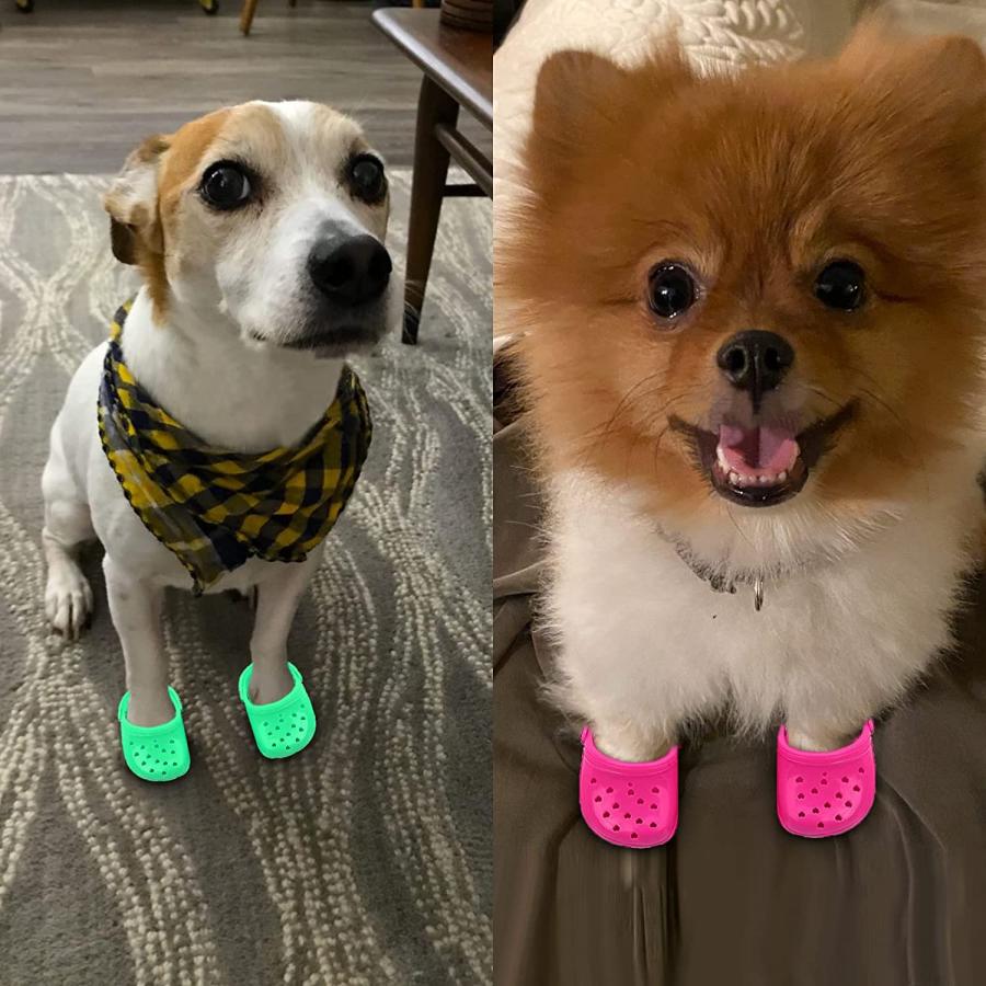 Crocs for cheap dogs to wear