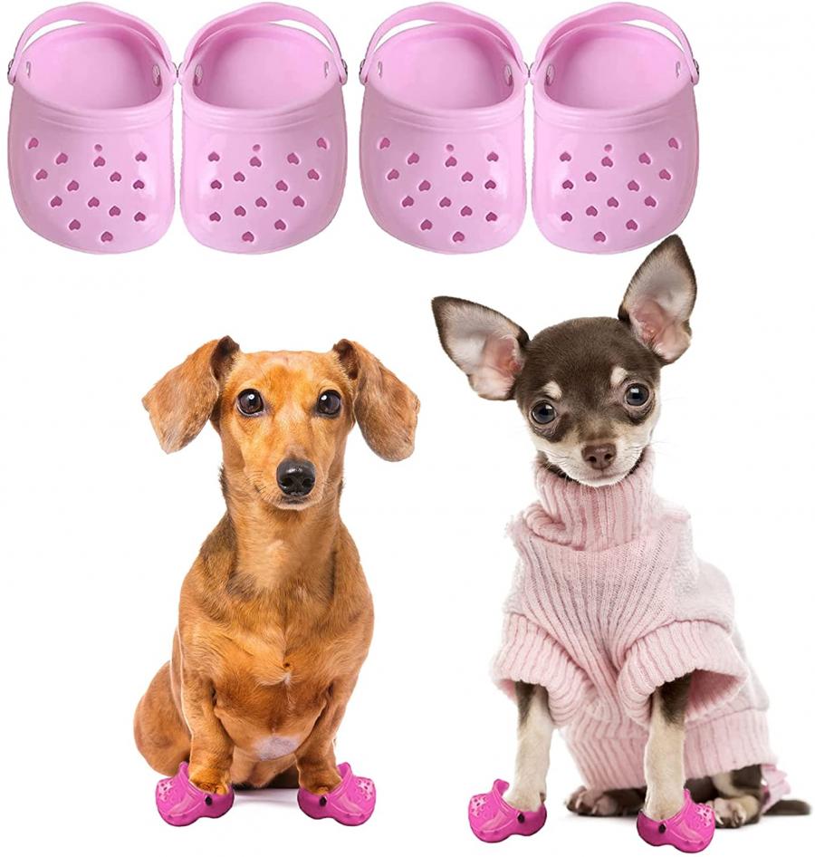 Dog Crocs - Croc shoes made for dogs