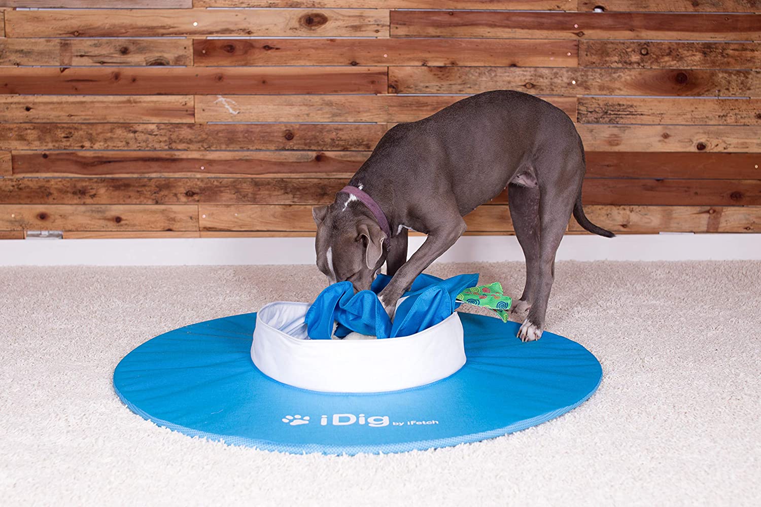 This Ingenious Dog Digging Toy Helps Satisfy Your Dogs Need To Dig Without Them Damaging Anything