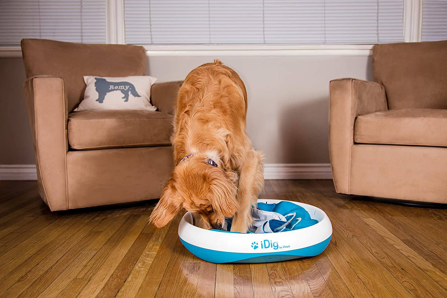 This Ingenious Dog Digging Toy Helps Satisfy Your Dogs Need To Dig