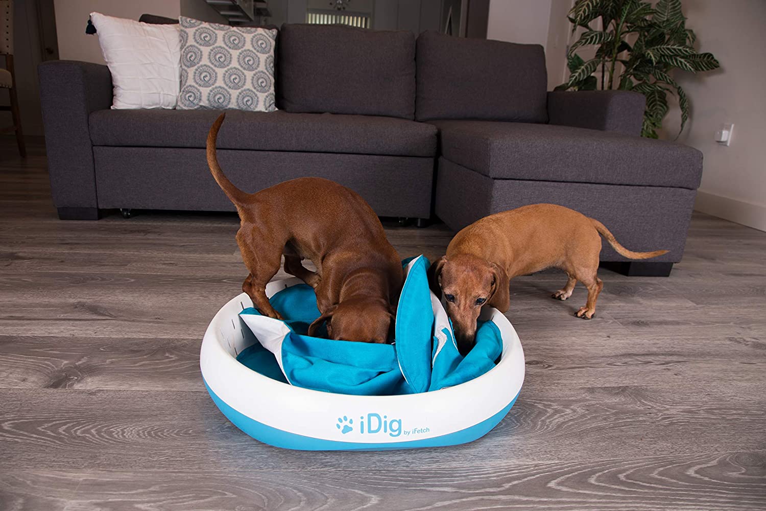 This Ingenious Dog Digging Toy Helps Satisfy Your Dogs Need To Dig Without  Them Damaging Anything