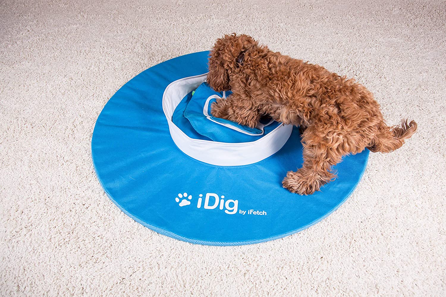 iDig Indoor Dog Digging Toy
