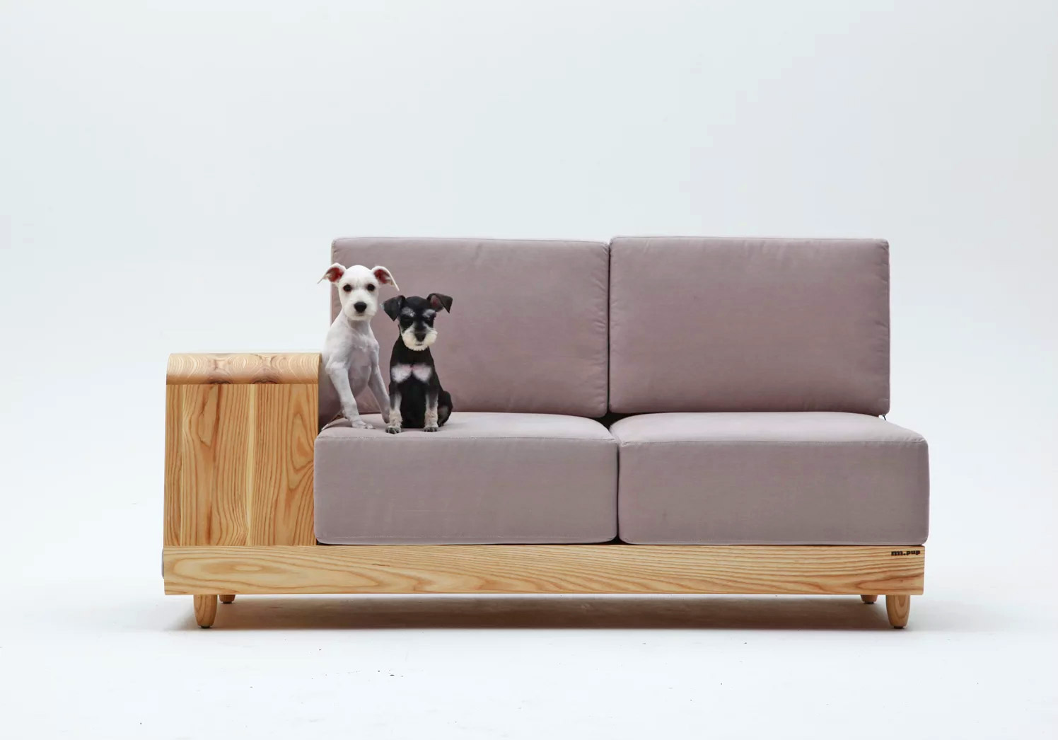 Cat sofa оригинал купить. Креативные диваны. Диванчик для собаки. Диван для собаки. Мебель для собак дизайнерская.