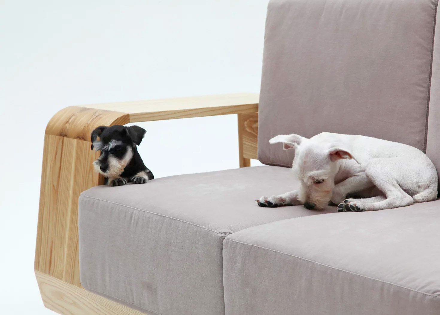 Dog House Sofa (Seungji mun)