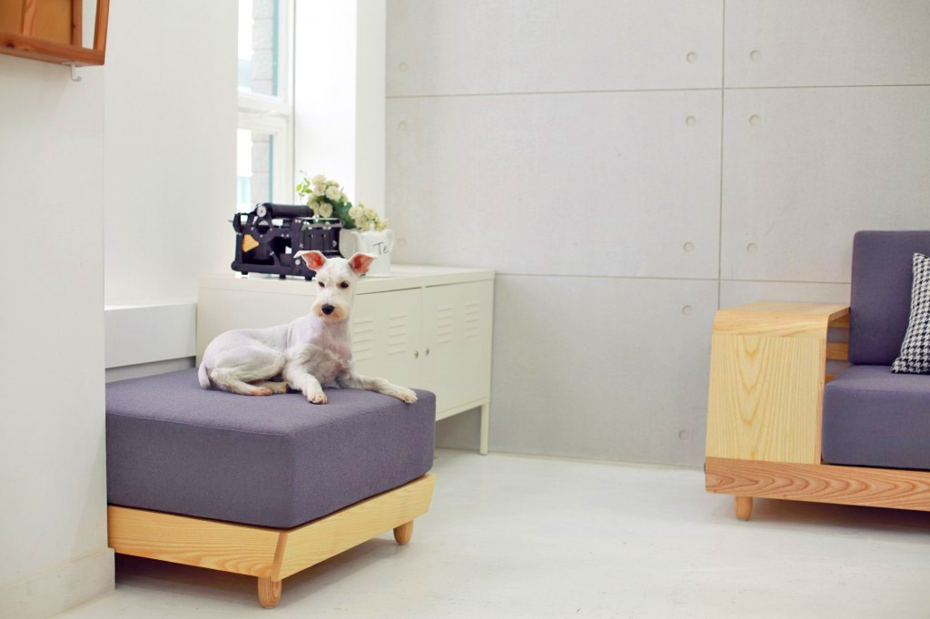 Dog House Sofa Has an Integrated Dog Bed In The Armrest - Dog bed in couch sofa wooden armrest