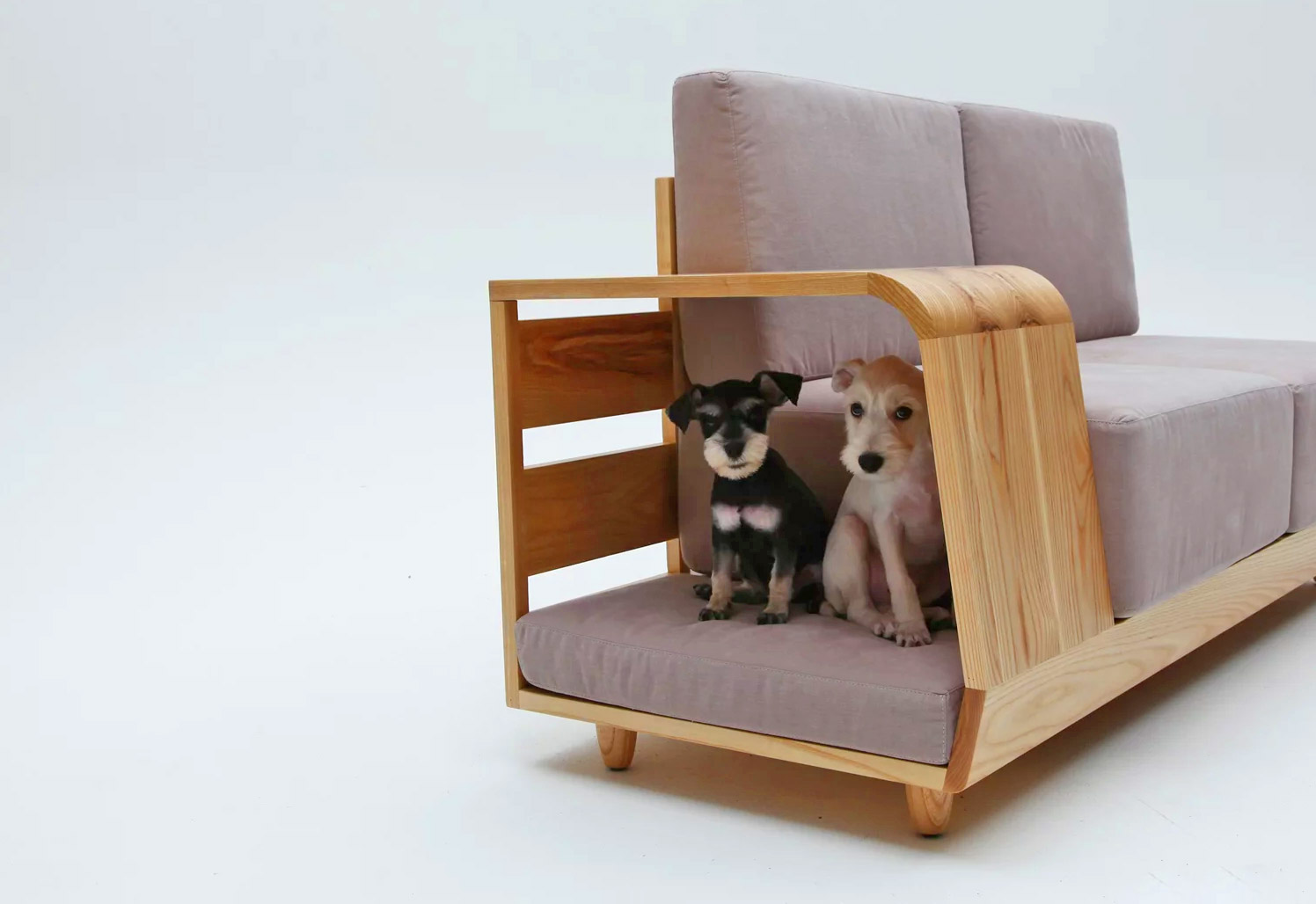 cheap dog couch