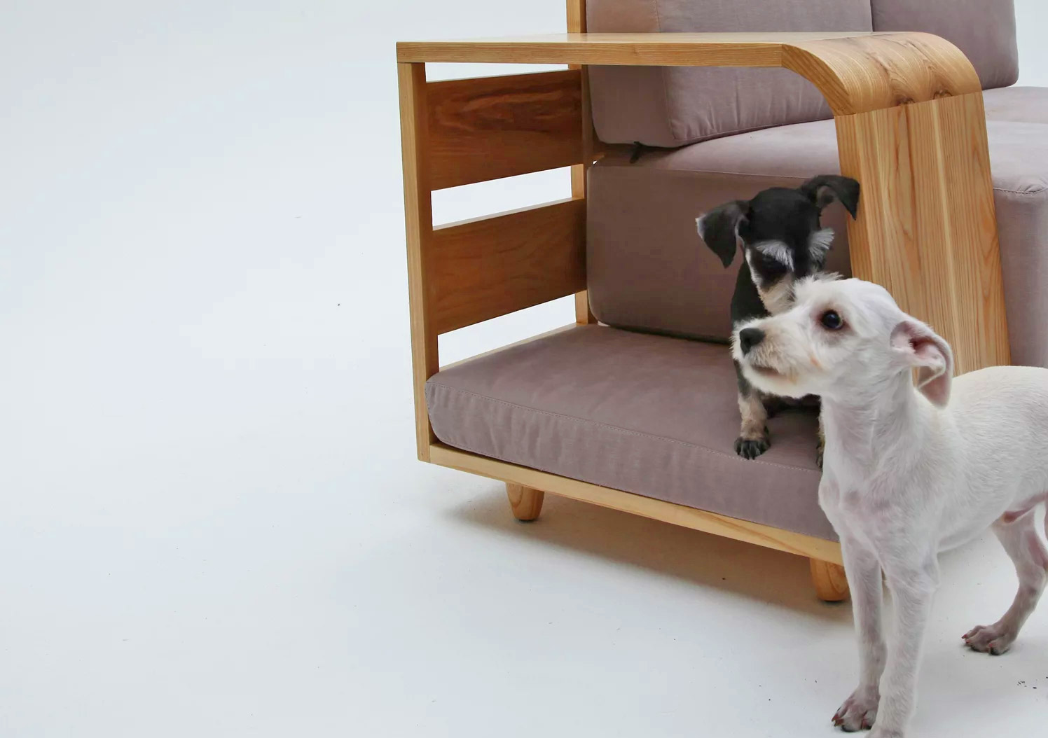 Dog House Sofa Has an Integrated Dog Bed In The Armrest - Dog bed in couch sofa wooden armrest