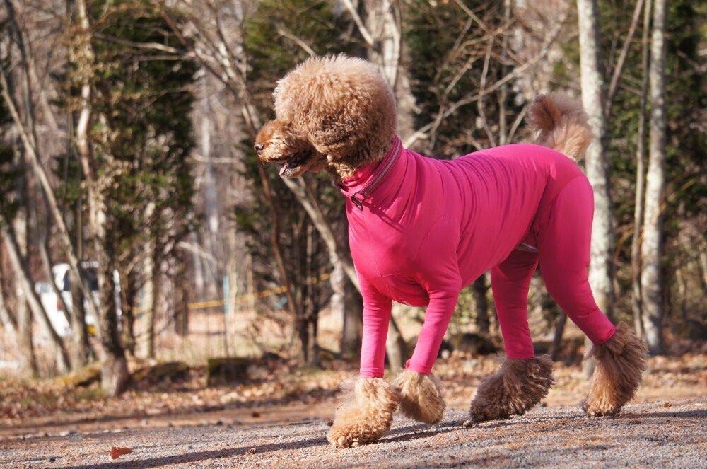 Shed Defender Dog Onesie prevents dogs from shedding all over your house - Dog onesie dog cone alternative