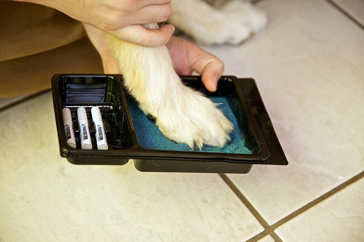 Dog Pad Grips - Sticky granular dog pad grips