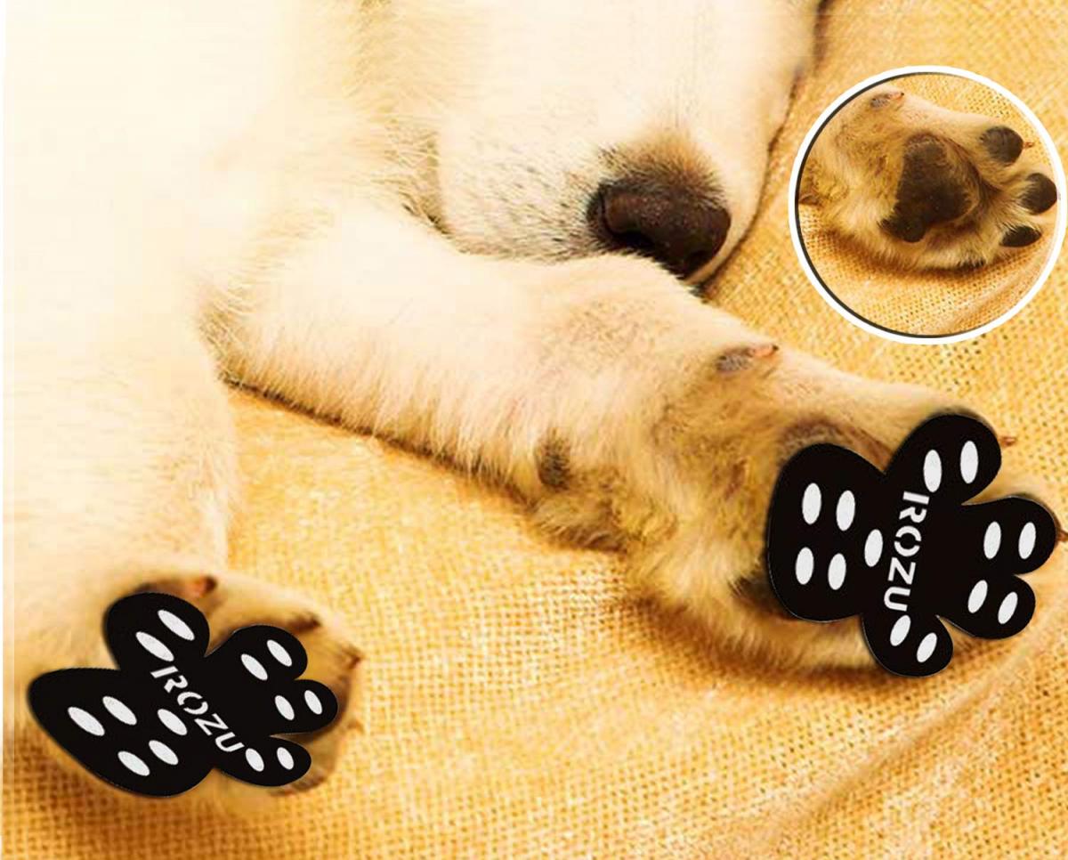 There Are Now Dog Pad Grips That Prevent Your Pooch From Slipping On