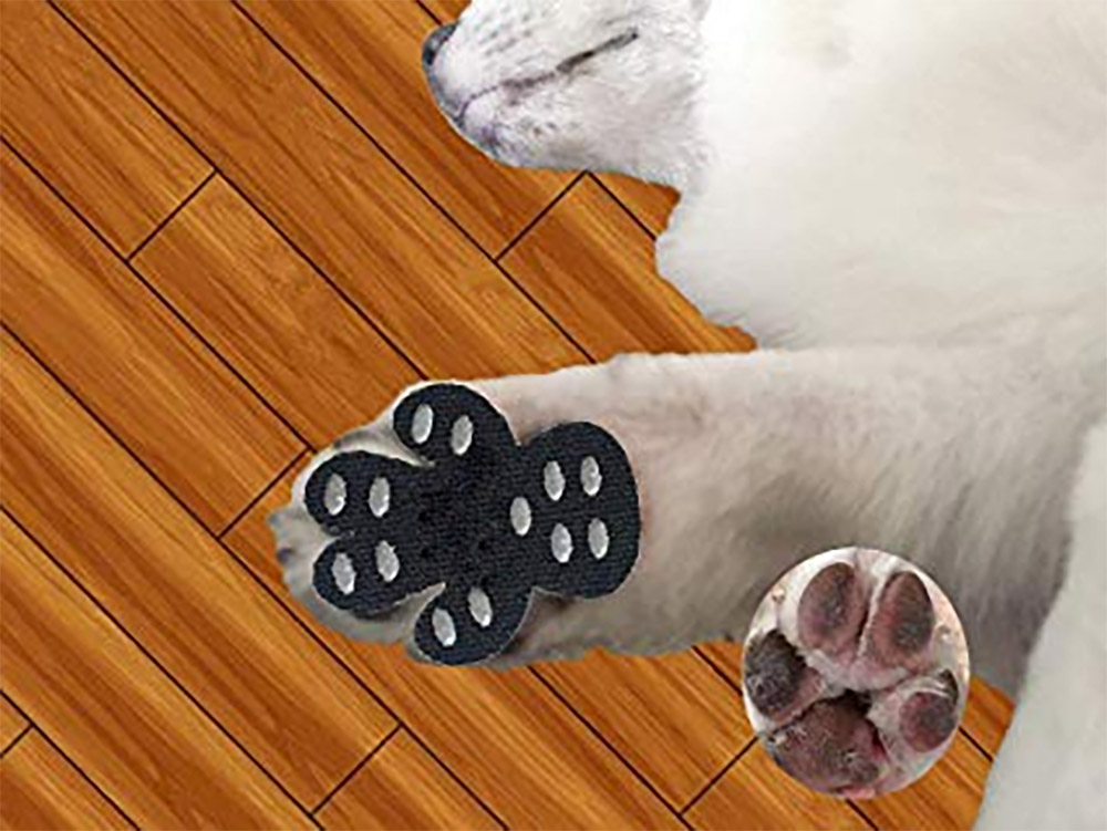 There Are Now Dog Pad Grips That Prevent Your Pooch From Slipping On