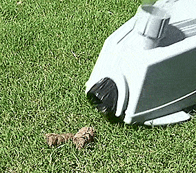 Dog Poop Vacuum - Electric pooper scooper