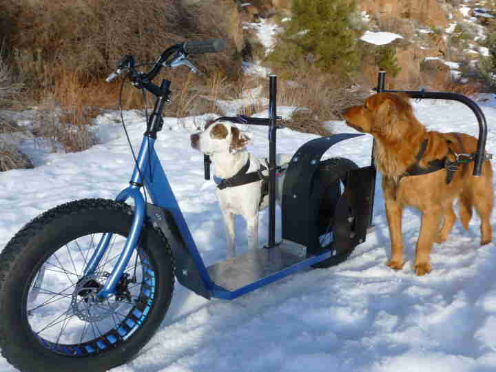 Dog powered 2025 scooter amazon