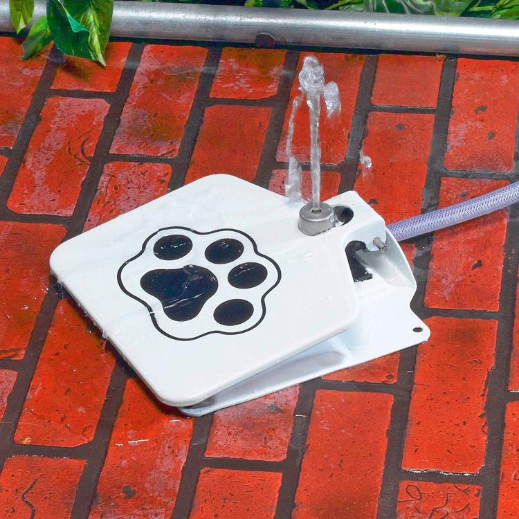 Dog Push Pedal Water Fountain - Doggie Fountain