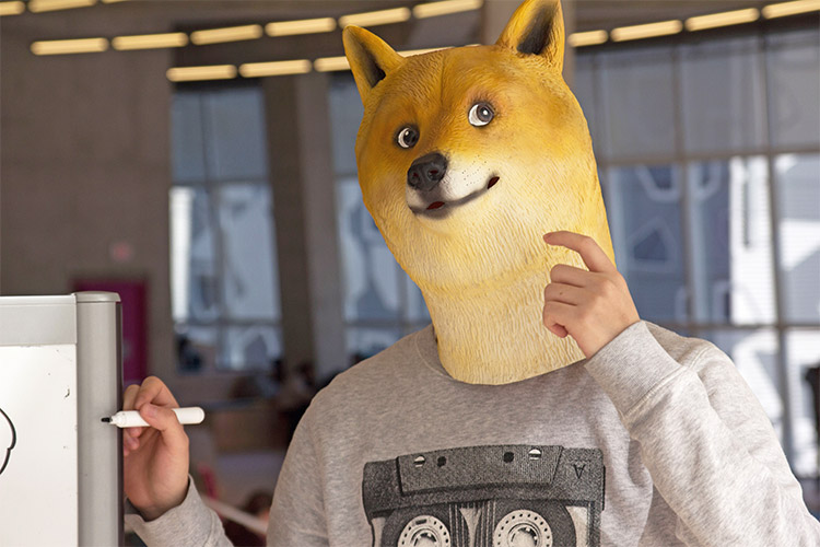 Doge Mask