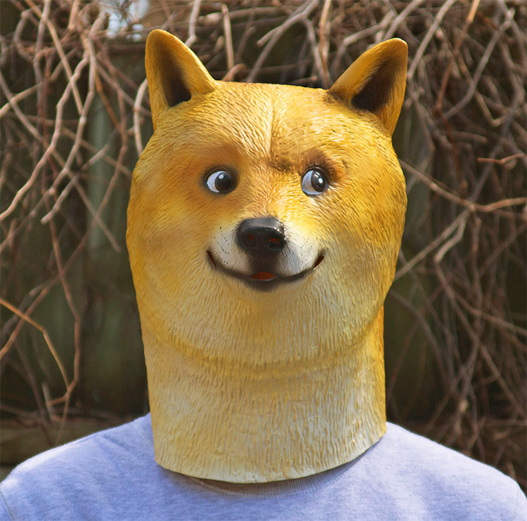 Doge Mask