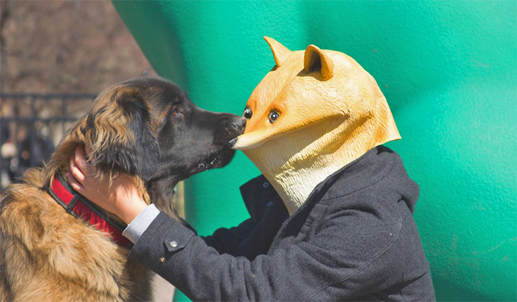 Doge Mask