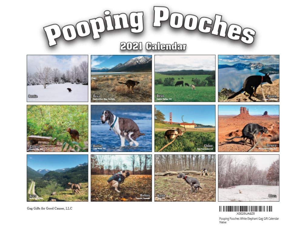 Dogs Pooping Calendar 2021 - Pooping Pooches Calendar 2021