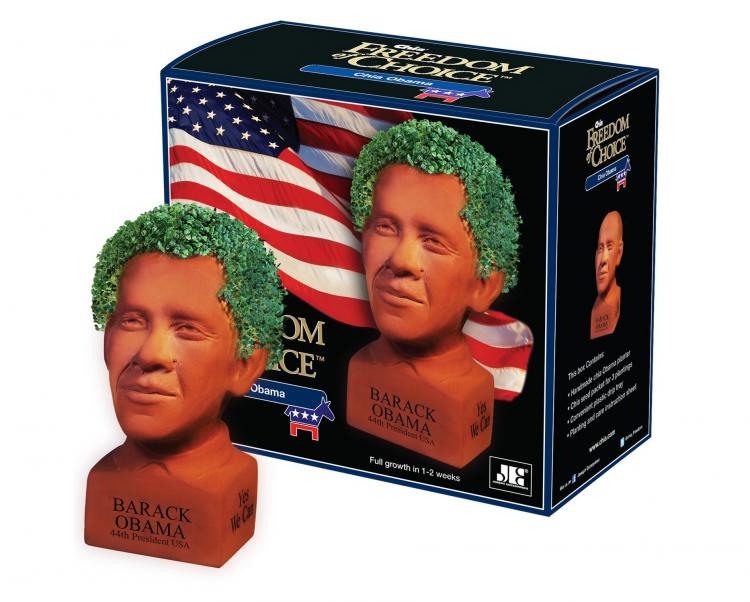 - Chia Seeds Included Donald Trump Chia Decorative Pottery Planter Funny Novelty Gift 4.5 x 4.5 x 3.5 Small Plant and Grow Donald Trumps Hair 