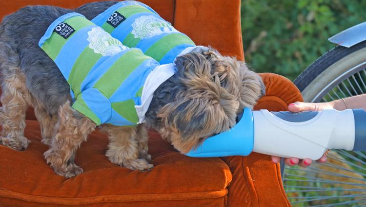 Drink&Buddy Shareable water bottle with your dog - share water bottle with your dog