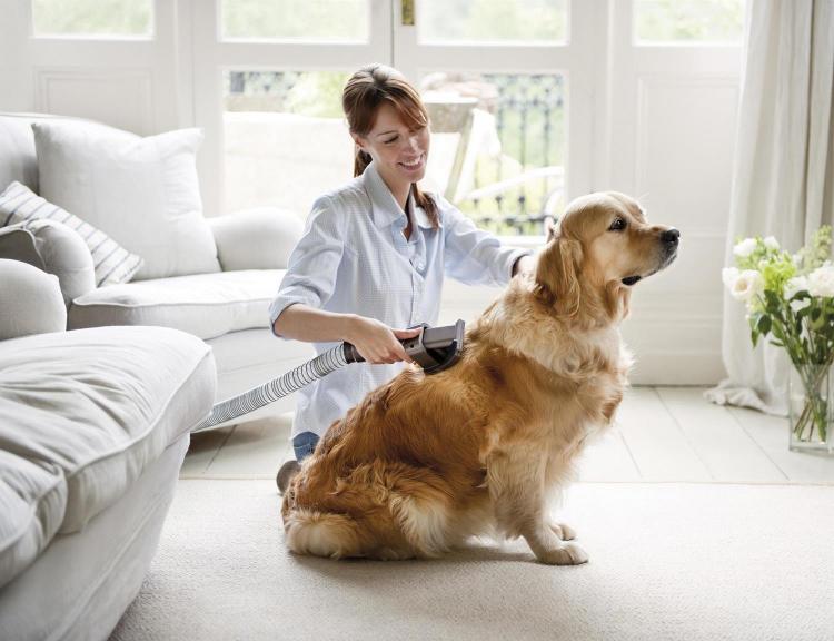 dog brush attachment for dyson