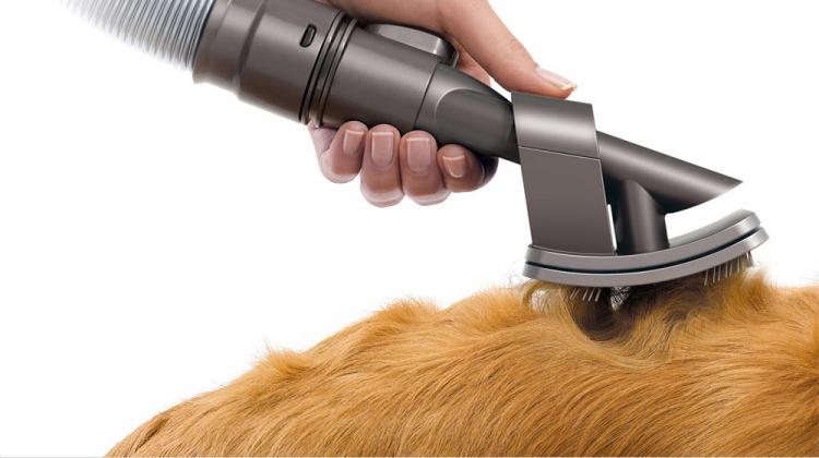 dog brush attachment for dyson