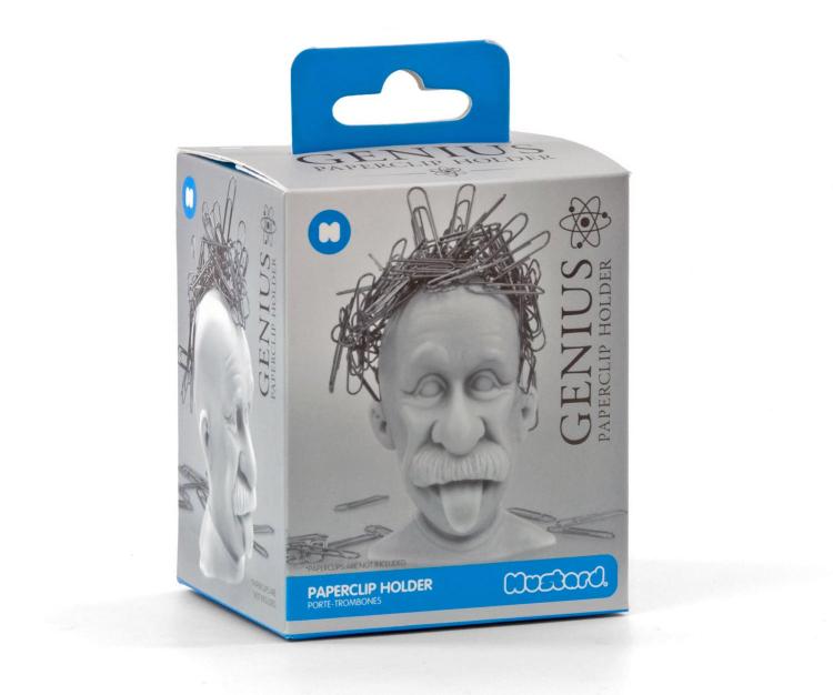 Einstein Crazy Hair Paperclip Holder